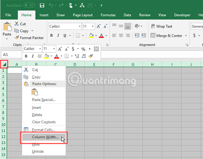 Column Width