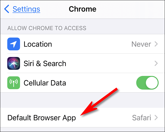 Bấm chọn tùy chọn “Default Browser App”