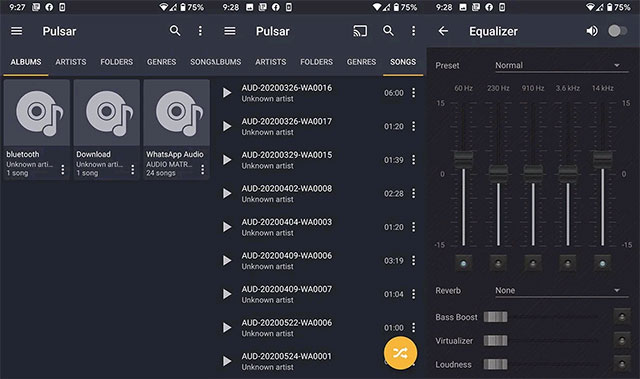 Pulsar Music Player