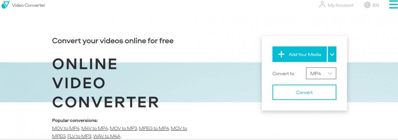 Video Converter
